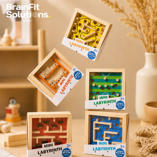 Mini Labyrinth Challenge Game