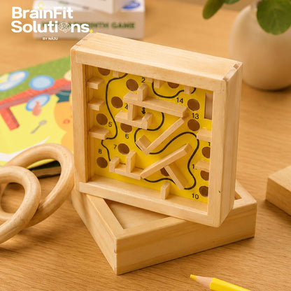 Mini Labyrinth Challenge Game