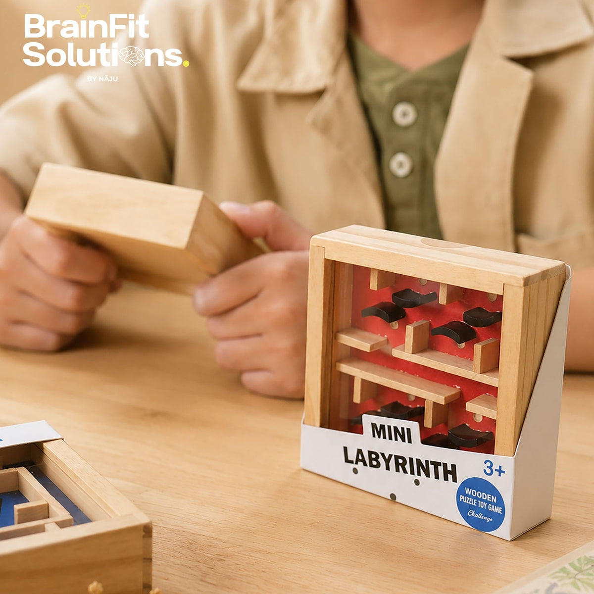 Mini Labyrinth Challenge Game