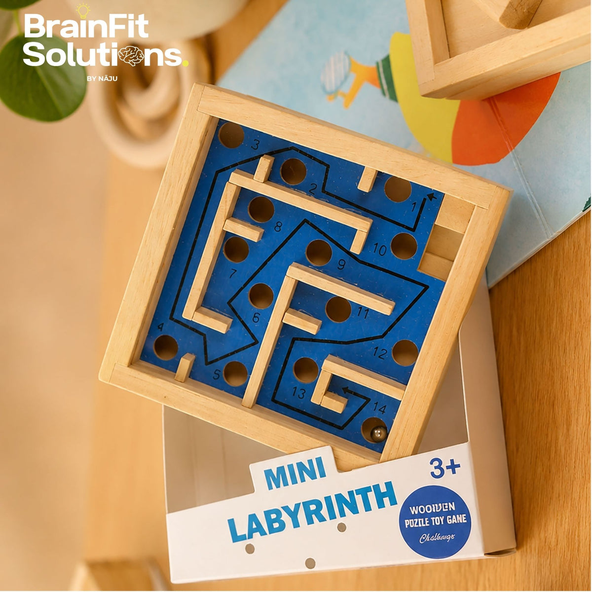 Mini Labyrinth Challenge Game