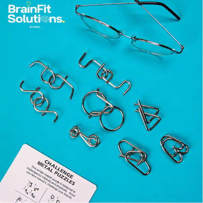 Metal Brain Teaser Puzzles